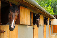 free Kings Furlong stable construction quotes